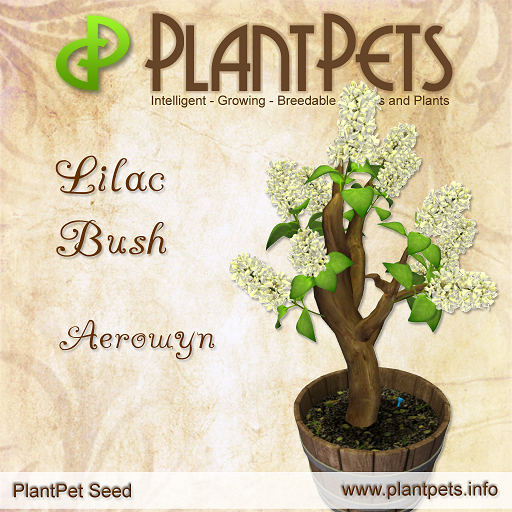 PlantPet Seed [Lilac Bush *Aerowyn*]