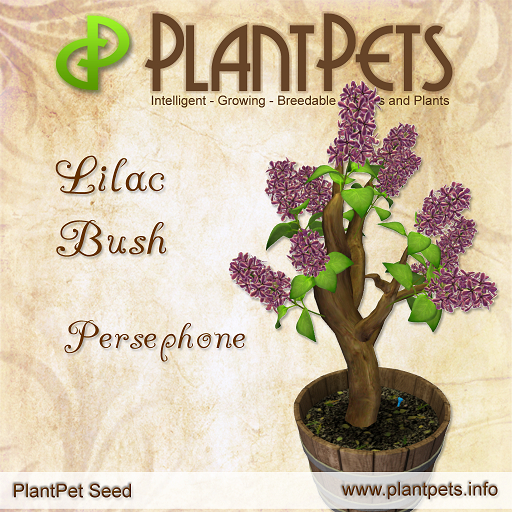 PlantPet Seed [Lilac Bush *Persephone*]