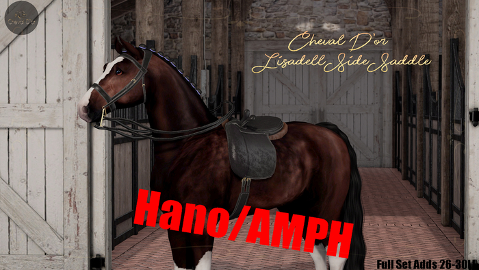 Cheval D'or / TeeglePet Hano/AMPH / Lisadell Sidesaddle Set