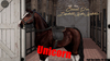 Lisadellunicorn