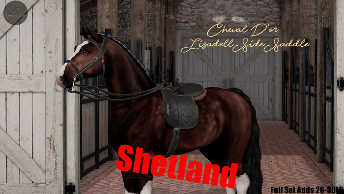 Cheval D'or / TeeglePet Shetland / Lisadell Sidesaddle Set