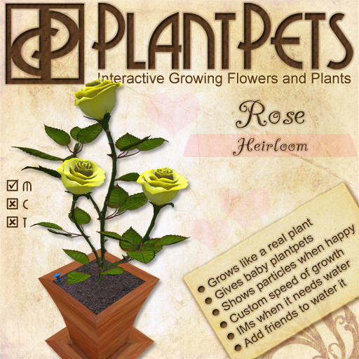 PlantPet Seed [Rose *Heirloom*]
