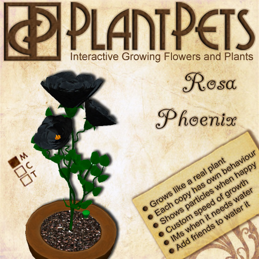 PlantPet Seed [Rosa *Phoenix*]