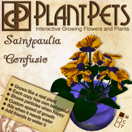 PlantPet Seed [Saintpaulia *Confusio*]