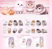 +Half-Deer+ Pomeranian - Lay (Merle)