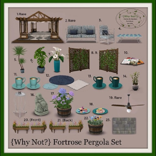 22.{Why Not?} Fortrose Pansy Tub