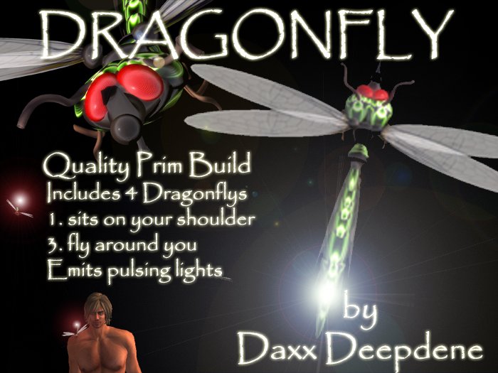 dragonfly