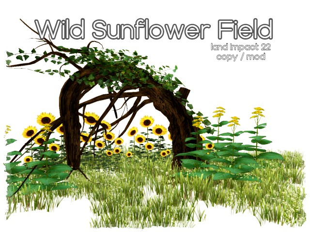 [AE] Garden Store - Wild Sunflower Field