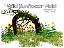 [AE] Garden Store - Wild Sunflower Field