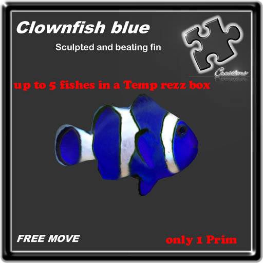 Temp / rezz / box /blue/ clownfisch / Animal / Sculpted / Animated / Aquarium /fin