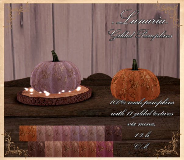 .Lunaria. Gilded Pumpkins 