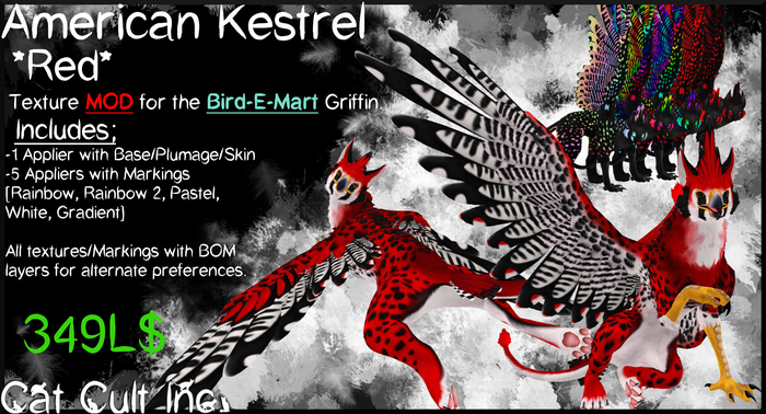 American Kestrel Red MOD