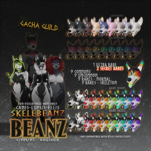 //BEANZ - SKELEBEANZ VOUCHER - COMMON 004