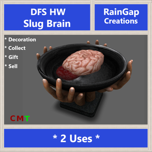 DFS HW Slug Brain