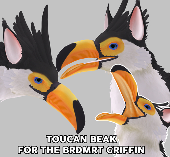 Snode - BRDMRT Griffin Toucan Beak