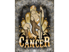 Cancer canvas