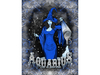 Aquarius canvas
