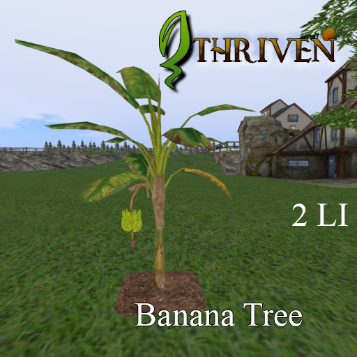 ThrivenRP Banana Tree
