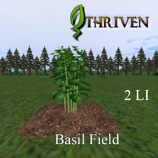 ThrivenRP Basil Field