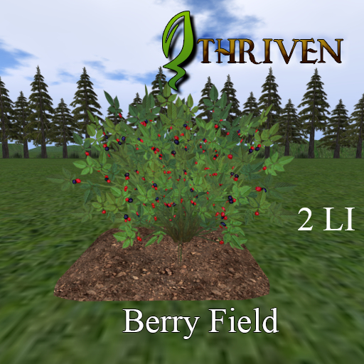 ThrivenRP Berry Field