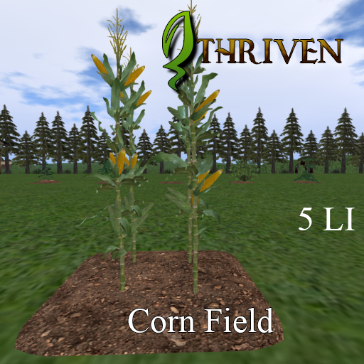 ThrivenRP Corn Field