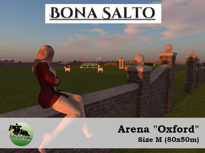 .:BSS:. Arena "Oxford" A2 M (80x50m)