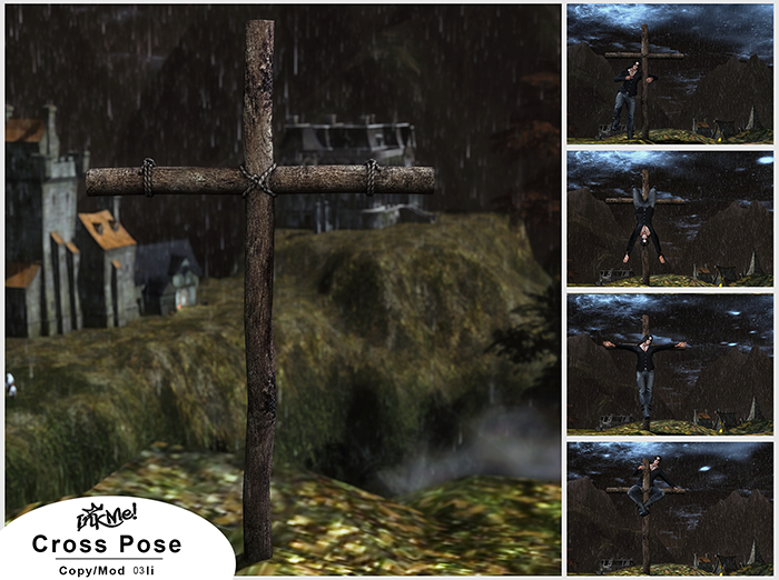 ::InkMe:: Cross Pose