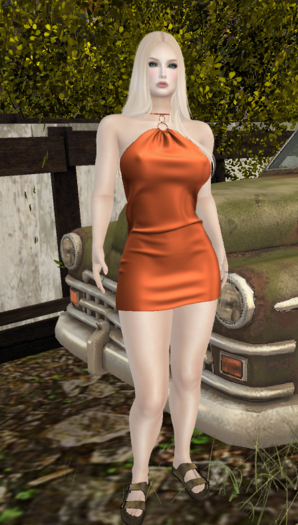 Maitreya Neckholder Dress II Silks Demo Suitcase