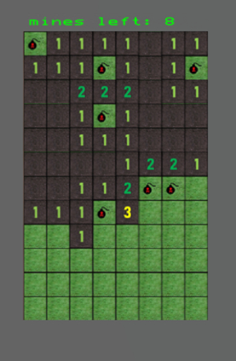 Papp's Minefield HUD