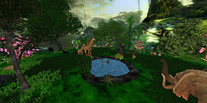 SAFARI JUNGLE REZ BOX MP