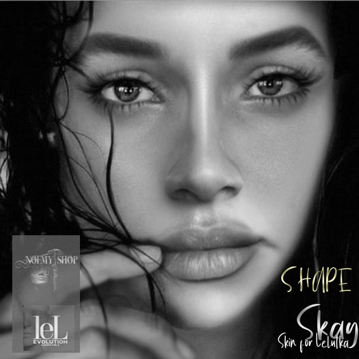 Noemy Shop SKAY Shape