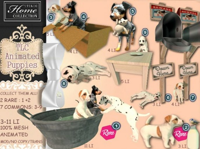 *TLC Puppies 9_Common