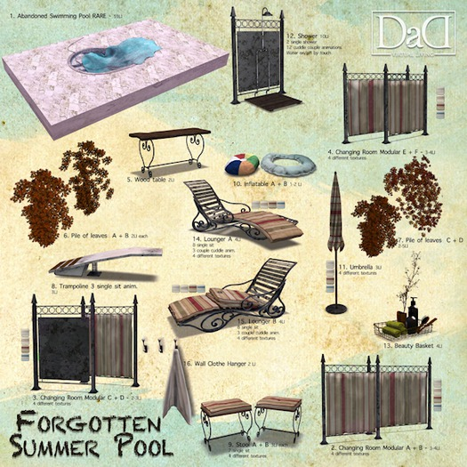 10 -DaD-Forgotten Summer Pool-Inflatable A + B mt box