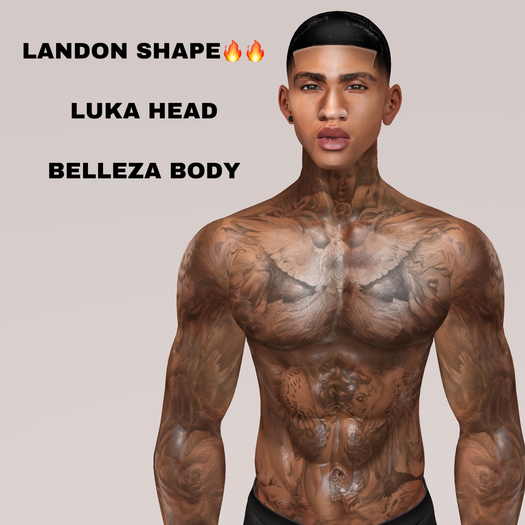 NEW WAVE~LANDON SHAPE