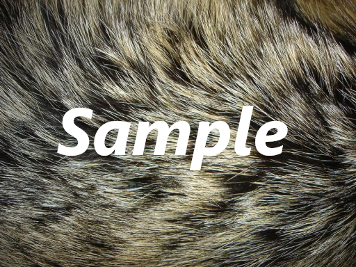 Fur Texture - 24 pack