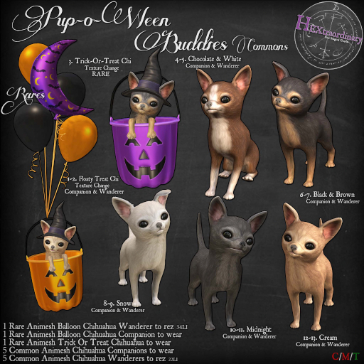 2. *HEXtraordinary* Floaty Treat Chi Wanderer - RARE