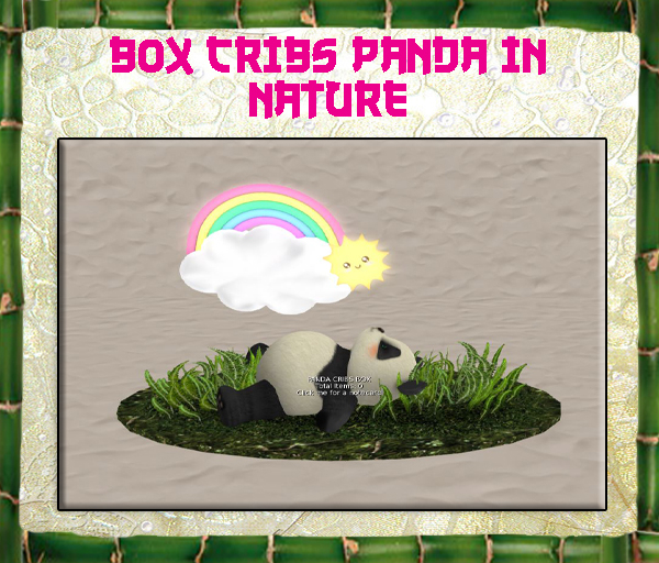 DISPLAY PANDA IN NATURE box
