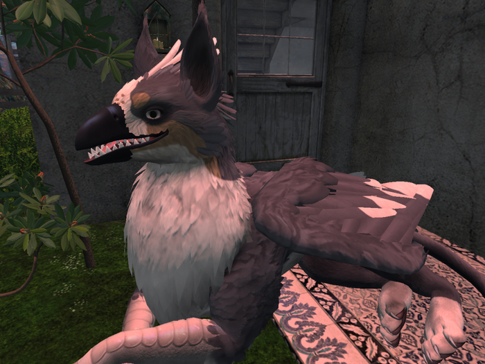 NM's Junk & Stuff Gray Collie Griff