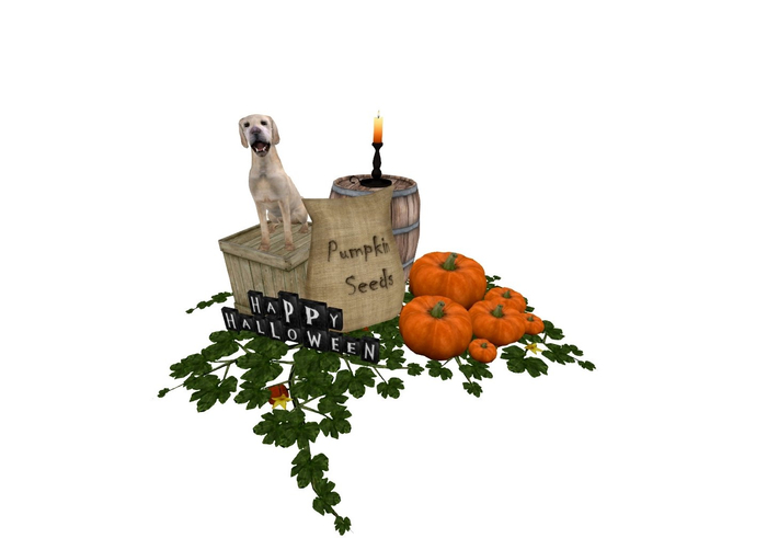 #5 LMagnums A Dogs Halloween - Farmers Lab