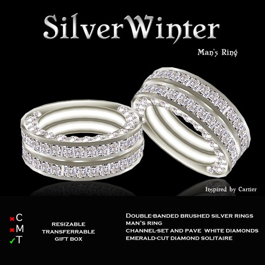 Exquisite Silver Winter Man's Ring