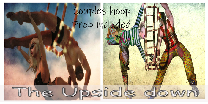 Double circus hoop