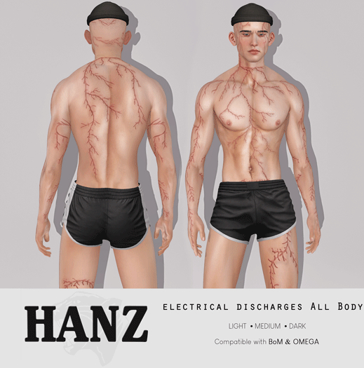HANZ - Electrical Discharges All Body