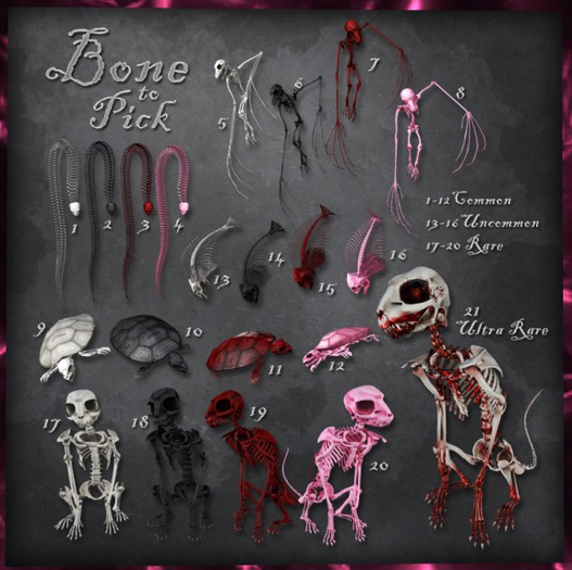 ::Static:: Bone to Pick - Turtle 10