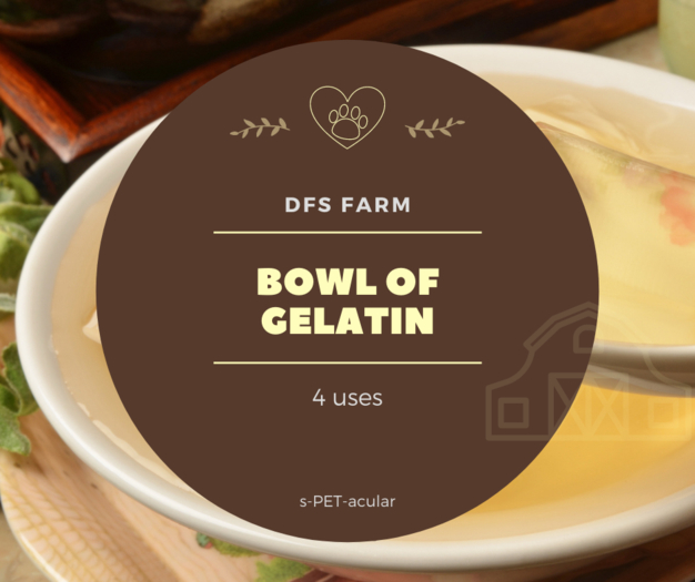 DFS Bowl of Gelatin (4)