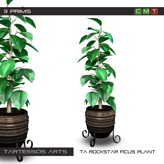 ::TA Rockstar Ficus Plant - Copy