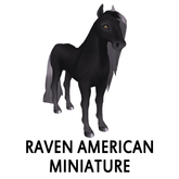 Amaretto Breedable Bundle Raven American Miniature 27