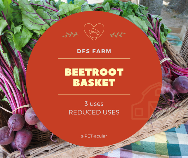 DFS Beetroot Basket REDUCED USES