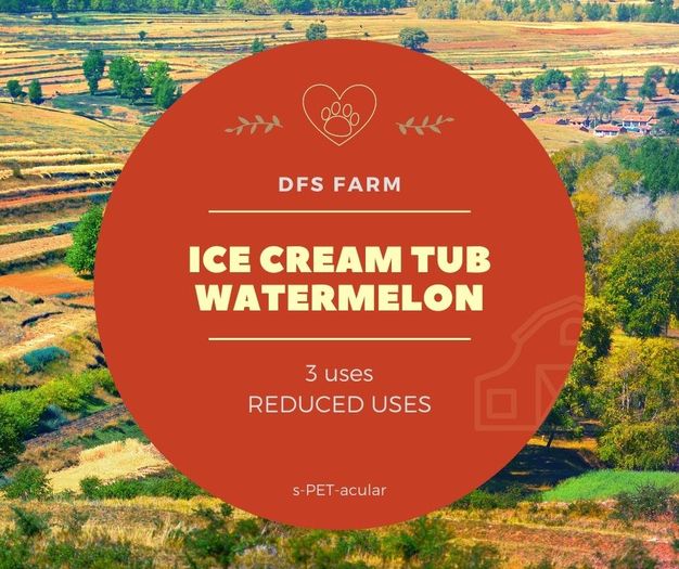 DFS Ice Cream Tub - Watermelon (3)