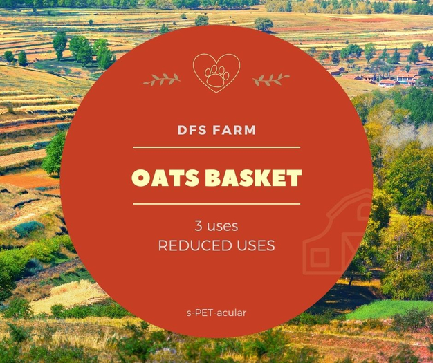 DFS Oats Basket (3)