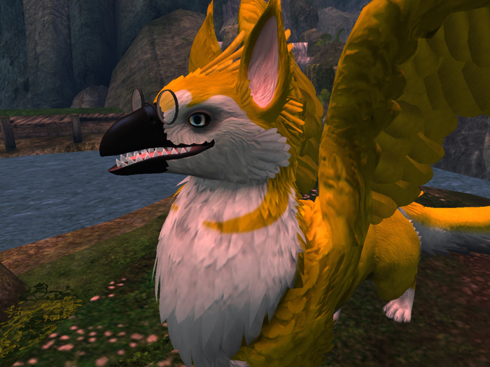 NM's Junk & Stuff Yellow Husky Griff